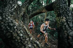 BIB: 
                            <button type="button" onclick="openModal(25392005)" class="btn btn-primary btn-sm float-right btn-popup" data-toggle="modal" data-target=".modal-high-quality">
                        <i class="fas fa-shopping-cart"></i> Add to Cart
                    </button>
                                            <button type="button" onclick="isThisMe(25392005, true)" class="btn btn-success btn-sm float-right btn-popup btn-isme hidden" data-toggle="tooltip" data-placement="bottom" title="นี่คือรูปของคุณใช่ไหม คลิกที่นี่เพื่อเอาเข้าอัลบั้ม">
                        <i class="fas fa-plus"></i> Add to album
                    </button>
                    <button type="button" onclick="isThisMe(25392005, false)" class="btn btn-warning btn-sm float-right btn-popup btn-isnotme hidden">
                        <i class="fas fa-ban"></i> Remove from album
                    </button>